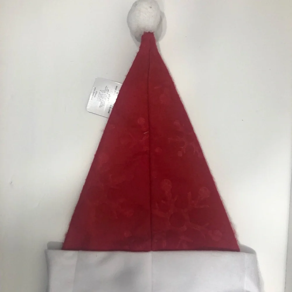 Mickey Santa hat  NWT
